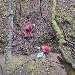 Bildergallerie anzeigen